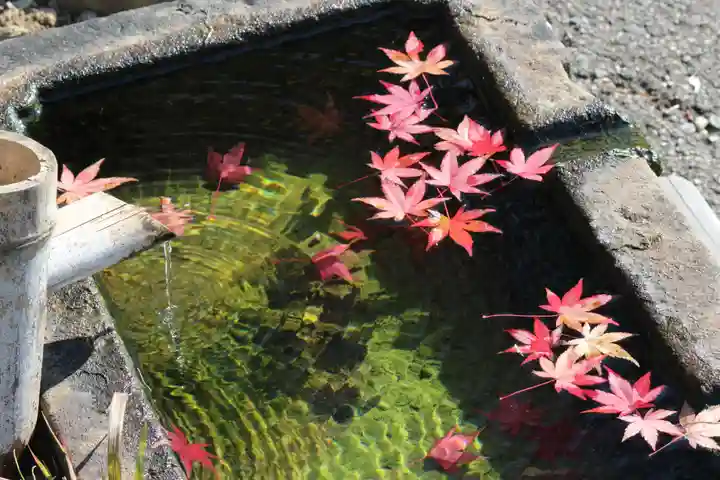 国宝 大法寺の手水舎
