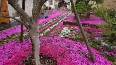 寿量山　速成寺の庭園