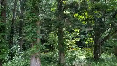 喜茂別神社の自然
