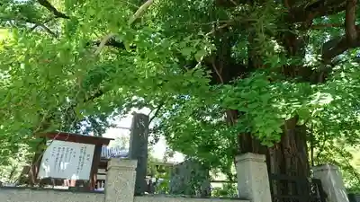 本國寺のその他建物