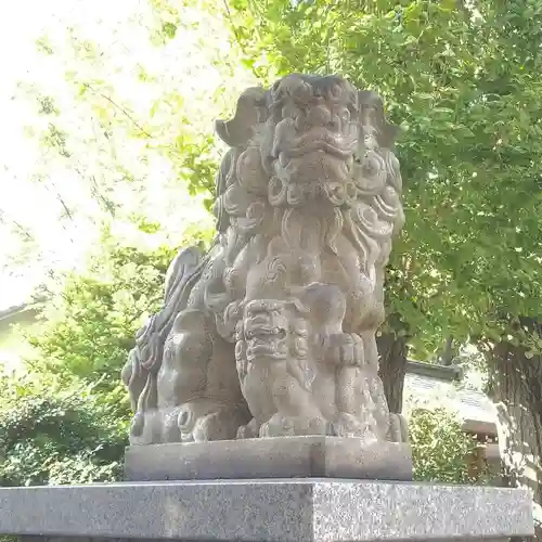 亀戸 香取神社の狛犬