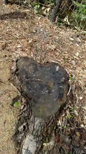 石鎚神社 口之宮 本社の自然