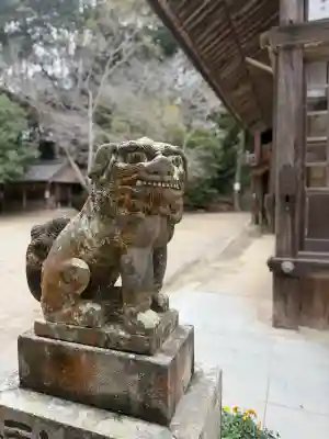 櫻井神社の{uncategorized: "未分類", other: "その他", undefined: "問題あり", building: "その他建物", grave: "お墓", sacred_gate: "鳥居", guardian: "狛犬", statue: "像", buddha: "仏像", history: "歴史", nature: "自然", garden: "庭園", animal: "動物", pagoda: "塔", temizu: "手水舎", mountain_gate: "山門・神門", sanctuary: "本殿・本堂", subordinate: "末社・摂社", art: "芸術", scenery: "景色", jizo: "地蔵", ema: "絵馬", goshuin: "御朱印", omikuji: "おみくじ", items: "授与品その他", amulet: "お守り", goshuincho: "御朱印帳", eats: "食事", festival: "お祭り", votive_dance: "神楽", shichigosan: "七五三参", wedding: "結婚式", experience: "体験その他", initially: "初詣", around: "周辺", anti_infection: "感染症対策"}