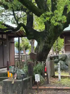 大乃伎神社の{uncategorized: "未分類", other: "その他", undefined: "問題あり", building: "その他建物", grave: "お墓", sacred_gate: "鳥居", guardian: "狛犬", statue: "像", buddha: "仏像", history: "歴史", nature: "自然", garden: "庭園", animal: "動物", pagoda: "塔", temizu: "手水舎", mountain_gate: "山門・神門", sanctuary: "本殿・本堂", subordinate: "末社・摂社", art: "芸術", scenery: "景色", jizo: "地蔵", ema: "絵馬", goshuin: "御朱印", omikuji: "おみくじ", items: "授与品その他", amulet: "お守り", goshuincho: "御朱印帳", eats: "食事", festival: "お祭り", votive_dance: "神楽", shichigosan: "七五三参", wedding: "結婚式", experience: "体験その他", initially: "初詣", around: "周辺", anti_infection: "感染症対策"}