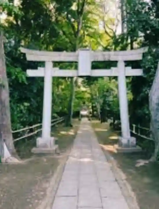 喜多見氷川神社の鳥居