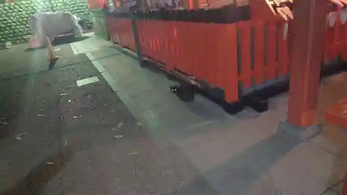 伏見稲荷大社(京都府)