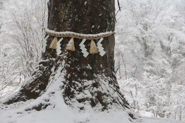 阿久津「田村神社」(郡山市阿久津町)旧社名:伊豆箱根三嶋三社の自然