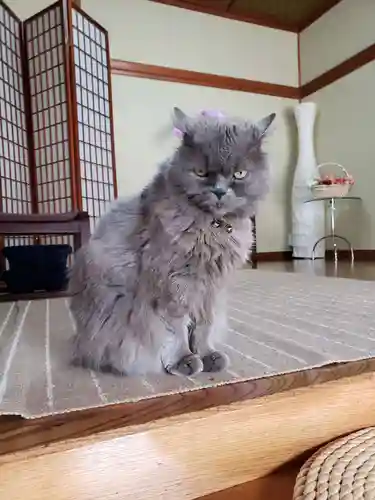 清徳寺(東京都)