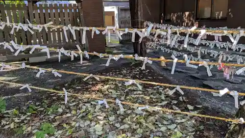 帯廣神社のおみくじ