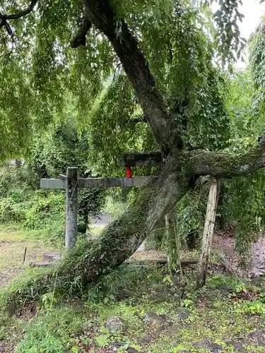 熊野神社の自然