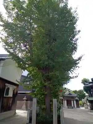 熊野大神宮(大阪府)
