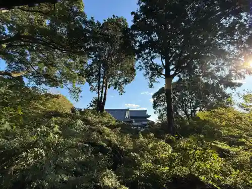 東福禅寺（東福寺）(京都府)