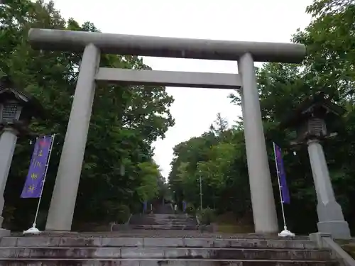 上川神社の鳥居