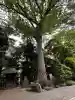前鳥神社の{uncategorized: "未分類", other: "その他", undefined: "問題あり", building: "その他建物", grave: "お墓", sacred_gate: "鳥居", guardian: "狛犬", statue: "像", buddha: "仏像", history: "歴史", nature: "自然", garden: "庭園", animal: "動物", pagoda: "塔", temizu: "手水舎", mountain_gate: "山門・神門", sanctuary: "本殿・本堂", subordinate: "末社・摂社", art: "芸術", scenery: "景色", jizo: "地蔵", ema: "絵馬", goshuin: "御朱印", omikuji: "おみくじ", items: "授与品その他", amulet: "お守り", goshuincho: "御朱印帳", eats: "食事", festival: "お祭り", votive_dance: "神楽", shichigosan: "七五三参", wedding: "結婚式", experience: "体験その他", initially: "初詣", around: "周辺", anti_infection: "感染症対策"}