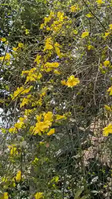 惠心院(京都府)