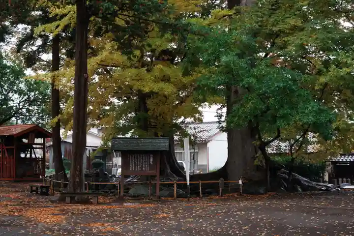 白鳥神社(長野県)