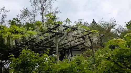 當麻寺奥院(奈良県)