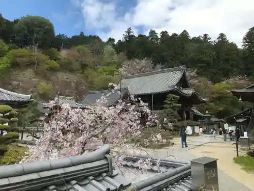 岡寺（龍蓋寺）のその他建物