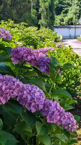 東林院(京都府)