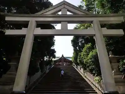 日枝神社の鳥居