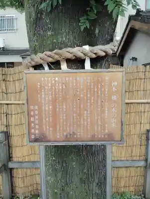 浅草神社の歴史