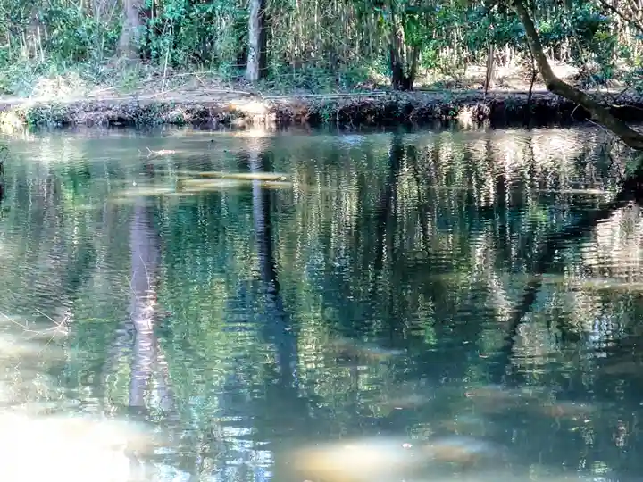 宇佐神宮の庭園