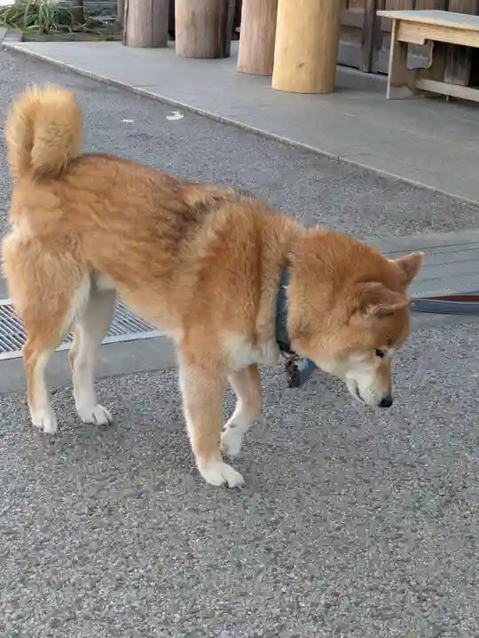 感通寺(東京都)