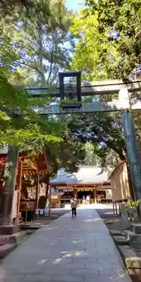 平塚八幡宮(神奈川県)