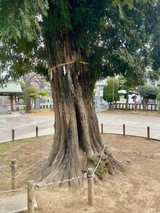 諏訪神社の{uncategorized: "未分類", other: "その他", undefined: "問題あり", building: "その他建物", grave: "お墓", sacred_gate: "鳥居", guardian: "狛犬", statue: "像", buddha: "仏像", history: "歴史", nature: "自然", garden: "庭園", animal: "動物", pagoda: "塔", temizu: "手水舎", mountain_gate: "山門・神門", sanctuary: "本殿・本堂", subordinate: "末社・摂社", art: "芸術", scenery: "景色", jizo: "地蔵", ema: "絵馬", goshuin: "御朱印", omikuji: "おみくじ", items: "授与品その他", amulet: "お守り", goshuincho: "御朱印帳", eats: "食事", festival: "お祭り", votive_dance: "神楽", shichigosan: "七五三参", wedding: "結婚式", experience: "体験その他", initially: "初詣", around: "周辺", anti_infection: "感染症対策"}