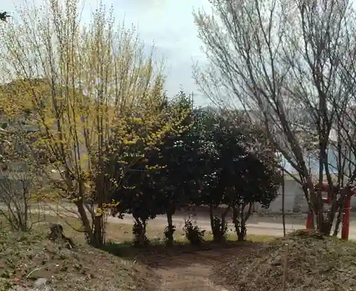 白九頭龍古墳(宮城県)