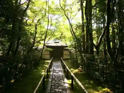 高桐院のその他建物