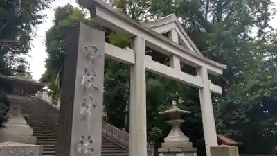 日枝神社の鳥居
