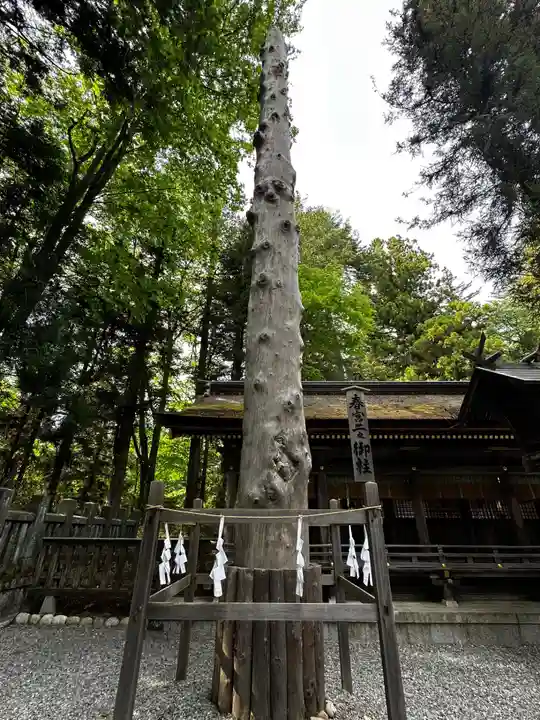諏訪大社下社春宮(長野県)