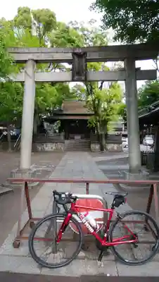 千住氷川神社の鳥居