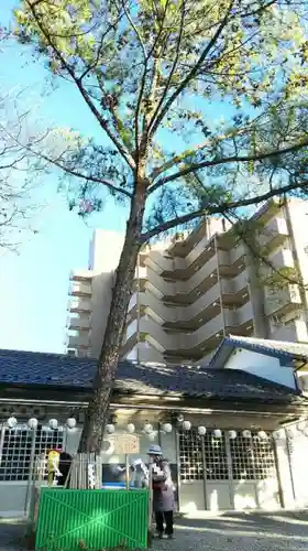 別小江神社の自然