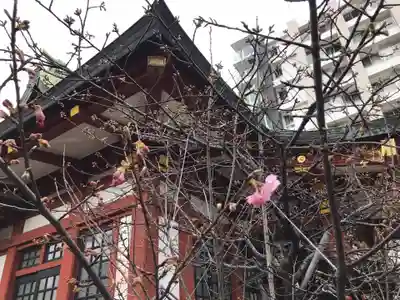 東神奈川熊野神社(神奈川県)