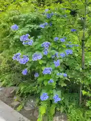 報徳二宮神社の自然