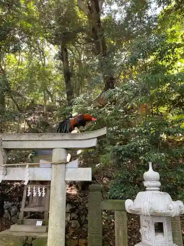 大甕神社(茨城県)