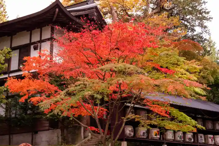 新海三社神社(長野県)