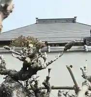 西方山極楽寺(岐阜県)