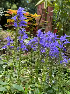 神炊館神社 ⁂奥州須賀川総鎮守⁂(福島県)