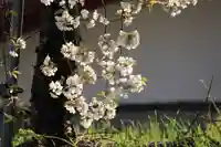 諏訪神社(福島県)