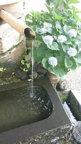 深大寺(東京都)