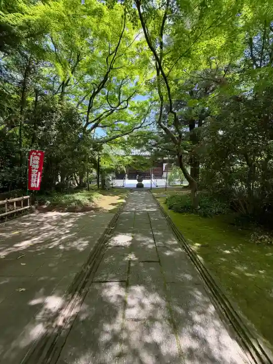大正寺の{uncategorized: "未分類", other: "その他", undefined: "問題あり", building: "その他建物", grave: "お墓", sacred_gate: "鳥居", guardian: "狛犬", statue: "像", buddha: "仏像", history: "歴史", nature: "自然", garden: "庭園", animal: "動物", pagoda: "塔", temizu: "手水舎", mountain_gate: "山門・神門", sanctuary: "本殿・本堂", subordinate: "末社・摂社", art: "芸術", scenery: "景色", jizo: "地蔵", ema: "絵馬", goshuin: "御朱印", omikuji: "おみくじ", items: "授与品その他", amulet: "お守り", goshuincho: "御朱印帳", eats: "食事", festival: "お祭り", votive_dance: "神楽", shichigosan: "七五三参", wedding: "結婚式", experience: "体験その他", initially: "初詣", around: "周辺", anti_infection: "感染症対策"}
