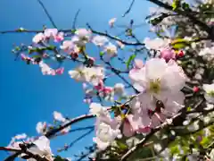 市木神社の自然