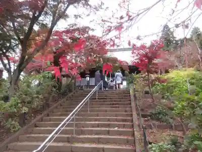 本土寺のその他建物