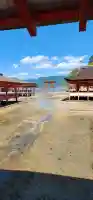 厳島神社の{uncategorized: "未分類", other: "その他", undefined: "問題あり", building: "その他建物", grave: "お墓", sacred_gate: "鳥居", guardian: "狛犬", statue: "像", buddha: "仏像", history: "歴史", nature: "自然", garden: "庭園", animal: "動物", pagoda: "塔", temizu: "手水舎", mountain_gate: "山門・神門", sanctuary: "本殿・本堂", subordinate: "末社・摂社", art: "芸術", scenery: "景色", jizo: "地蔵", ema: "絵馬", goshuin: "御朱印", omikuji: "おみくじ", items: "授与品その他", amulet: "お守り", goshuincho: "御朱印帳", eats: "食事", festival: "お祭り", votive_dance: "神楽", shichigosan: "七五三参", wedding: "結婚式", experience: "体験その他", initially: "初詣", around: "周辺", anti_infection: "感染症対策"}