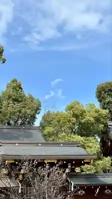 今宮神社(京都府)