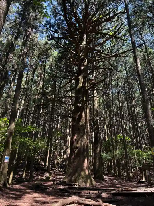 武甲山御嶽神社(埼玉県)