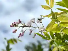 菱野健功神社の自然